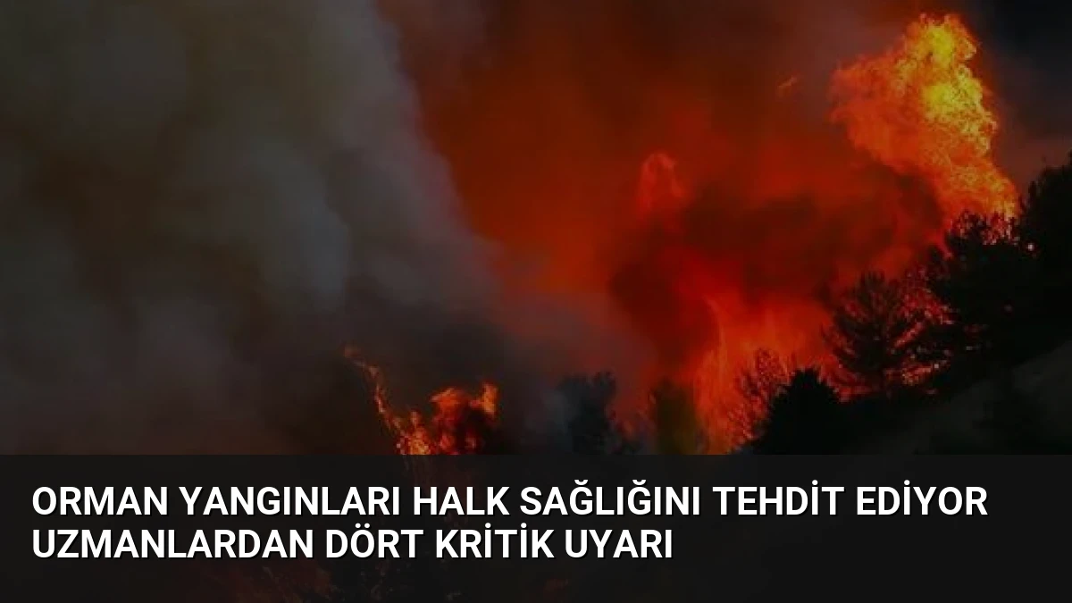 Orman Yangınları Halk Sağlığını Tehdit Ediyor Uzmanlardan Dört Kritik Uyarı