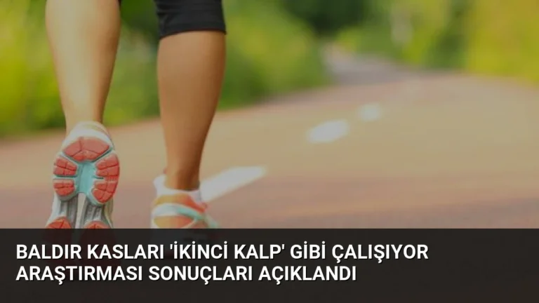Baldır Kasları ‘İkinci Kalp’ Gibi Çalışıyor Araştırması Sonuçları Açıklandı