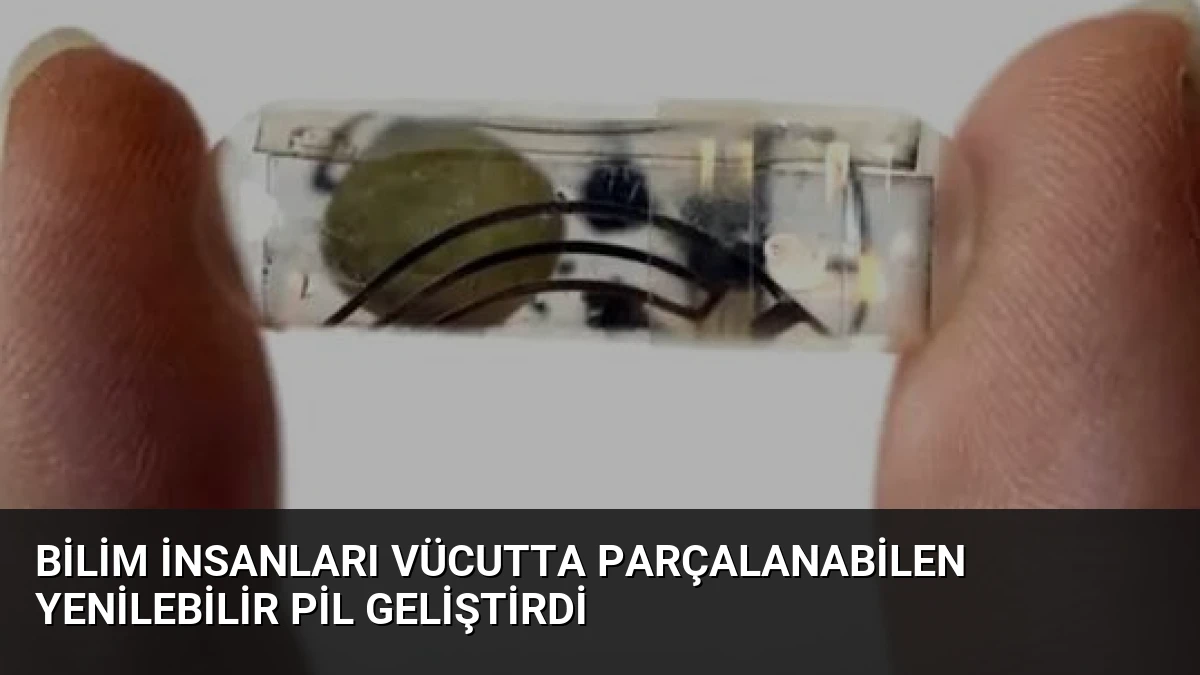 Bilim İnsanları Vücutta Parçalanabilen Yenilebilir Pil Geliştirdi