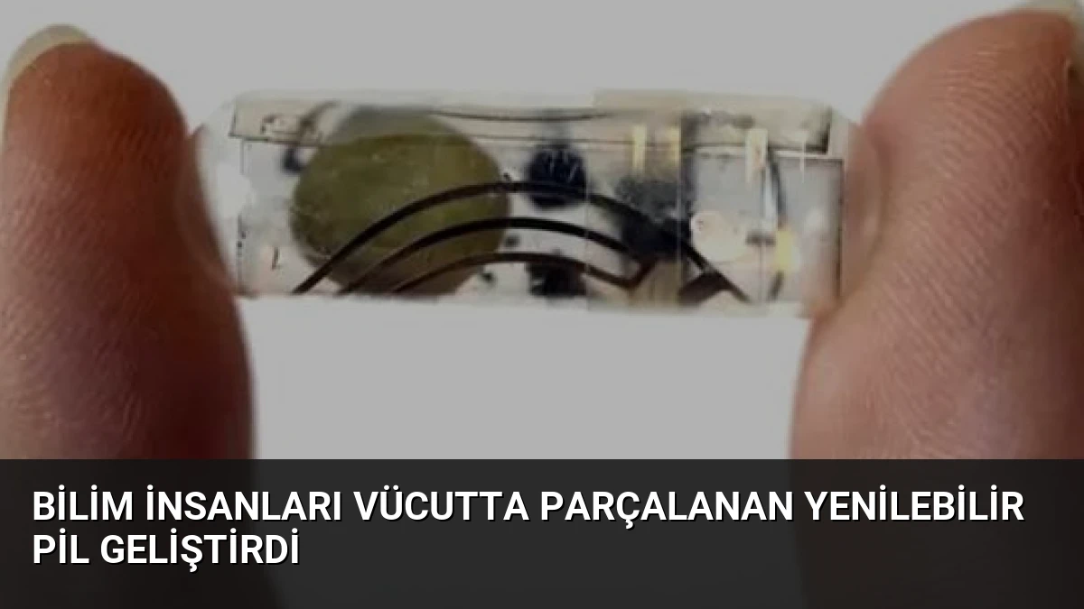 Bilim İnsanları Vücutta Parçalanan Yenilebilir Pil Geliştirdi