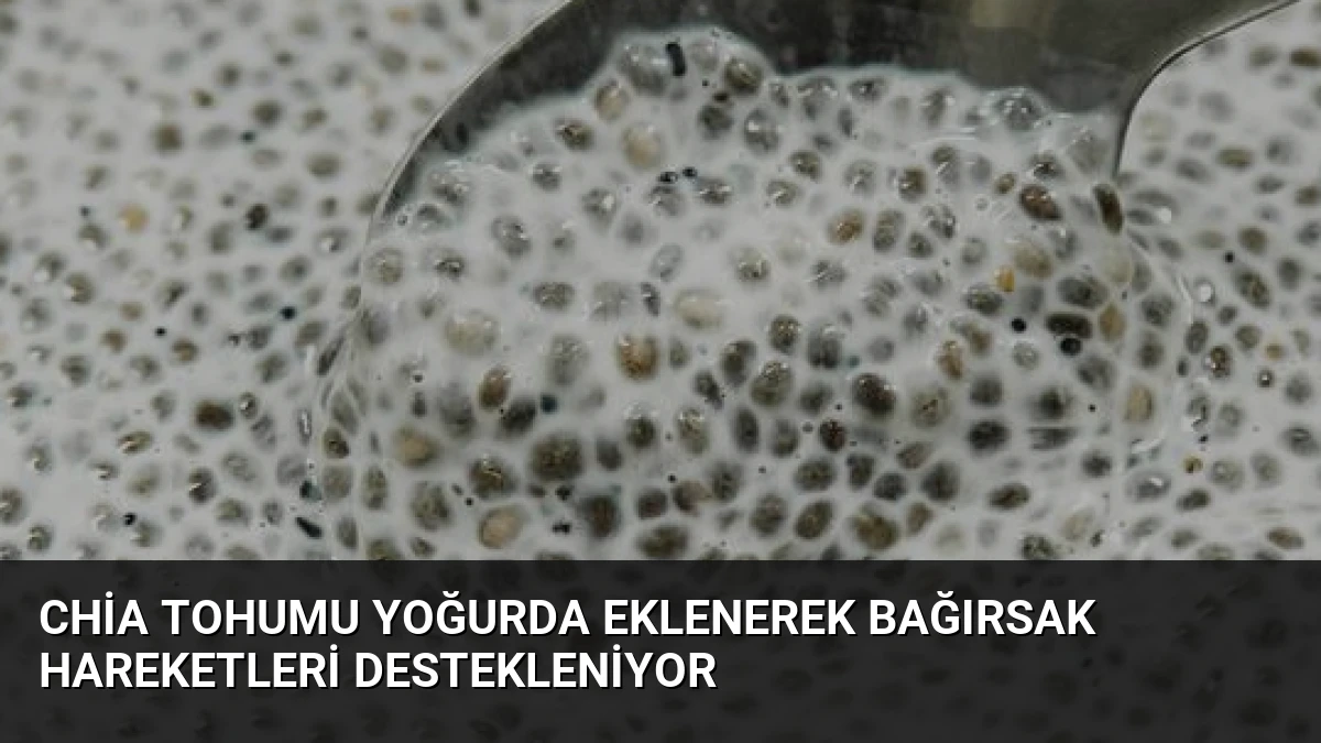 Chia Tohumu Yoğurda Eklenerek Bağırsak Hareketleri Destekleniyor