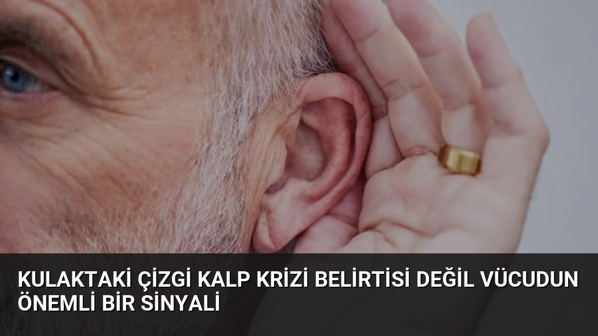 Kulaktaki Çizgi Kalp Krizi Belirtisi Değil Vücudun Önemli Bir Sinyali