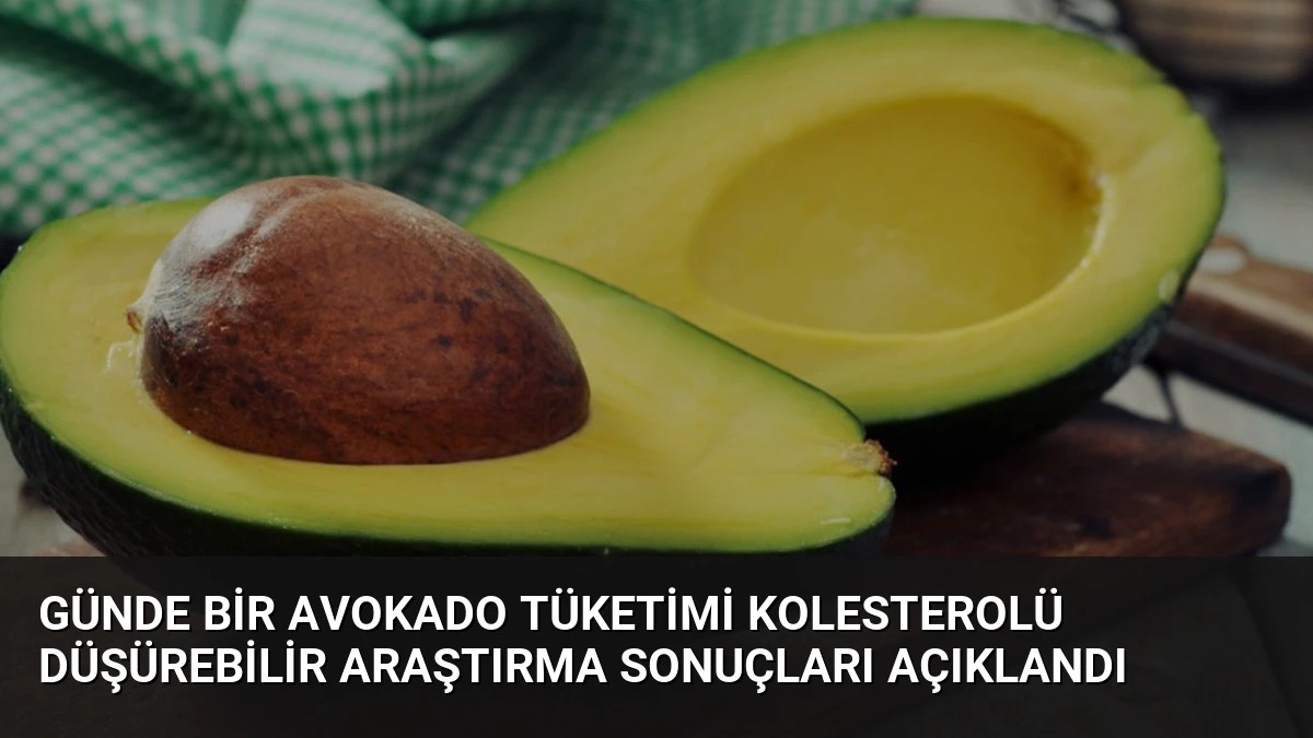 Günde Bir Avokado Tüketimi Kolesterolü Düşürebilir Araştırma Sonuçları Açıklandı
