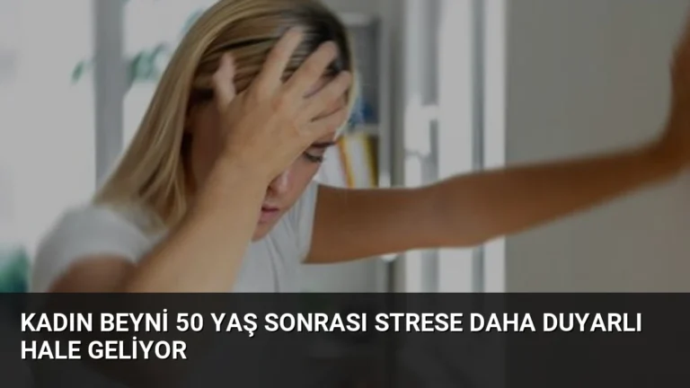 Kadın Beyni 50 Yaş Sonrası Strese Daha Duyarlı Hale Geliyor