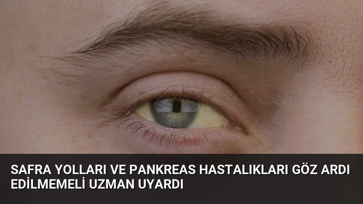 Safra Yolları ve Pankreas Hastalıkları Göz Ardı Edilmemeli Uzman Uyardı